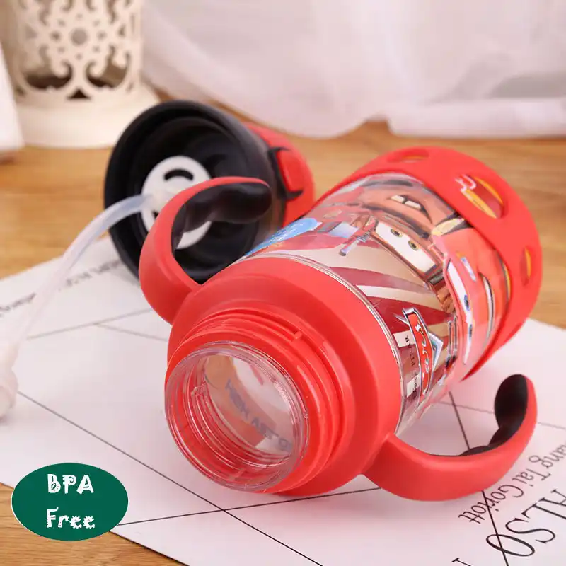 disneyland hydro flask