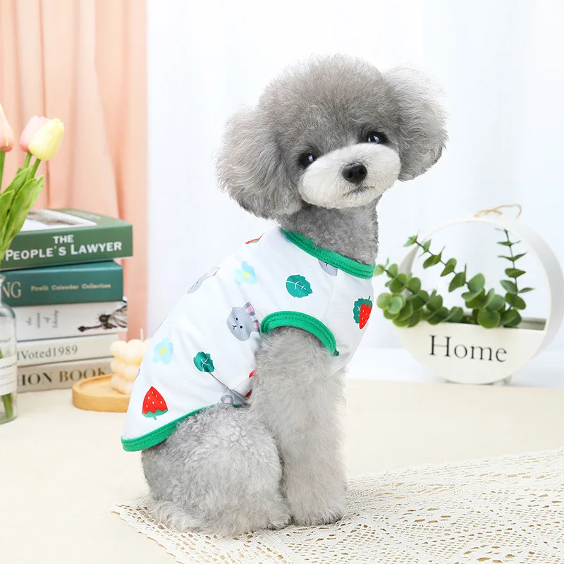 Ropa Para Mascotas Estampado De Fresa, Vestidos Para Pequeños, Chihuahua, Vestido De Princesa Dulce Para Fiesta De Boda, Ropa Cachorros|Vestidos Para Perro| AliExpress | lupon.gov.ph