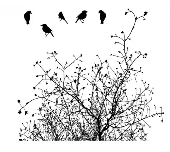 

Branches Transparent Clear Silicone Stamp/Seal for DIY scrapbooking/photo album Decorative clear stamp sheets A1900