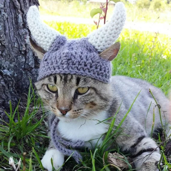 

2020 Hand-woven Viking Pirate Ox Horn Cat Cap Pet Knitted Hat New Style Cool Cute Cap
