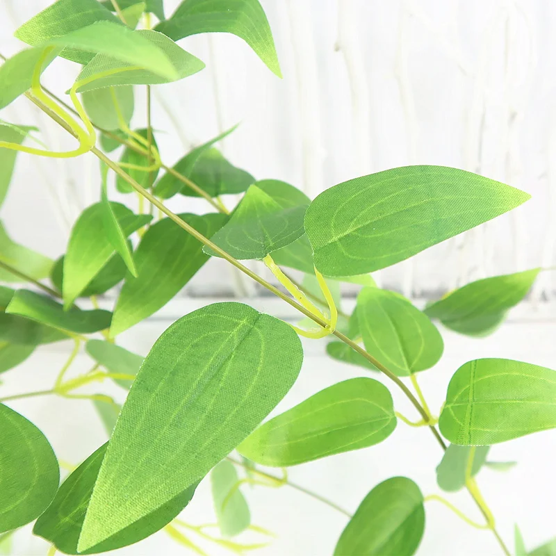 O1CN01xmPK211fxw3iPBY4T_!!3538854074