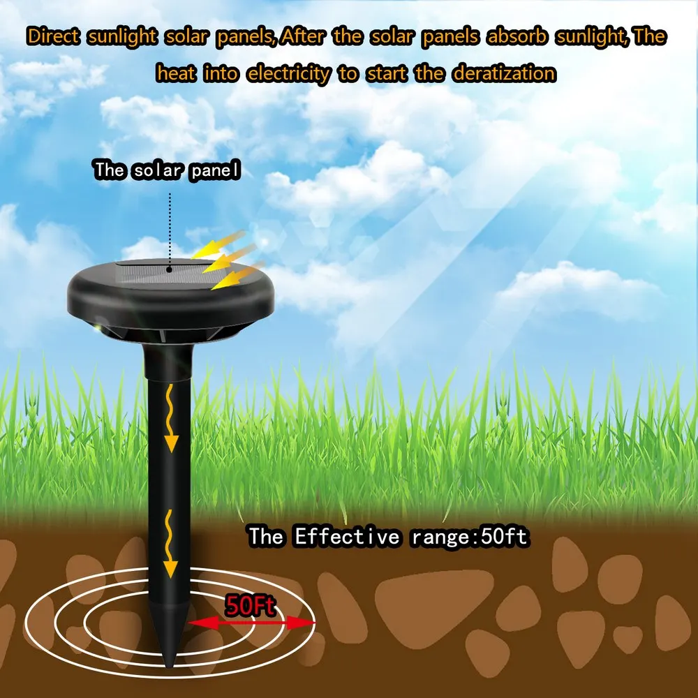 10930778867_39677601