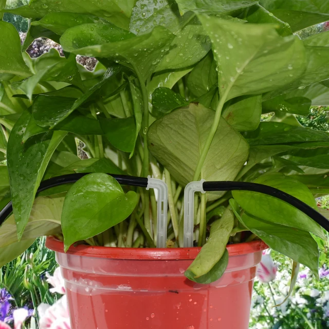 Kesla 25X Átlátszó Kanyarvak 1/4 ' 4/7 Mm -Es Tömlőcseppcsepp Csepegtető -Kibocsátó Vízmegtakarító Sprinkler Kerti Mikro Öntözés Üvegház - Image 4