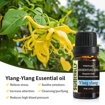 

Ylang Ylang 10ml Water-soluble Flower Fruit Essential Oil For Aromatherapy Organic Essential Oil Relieve Body Stress Skin Care