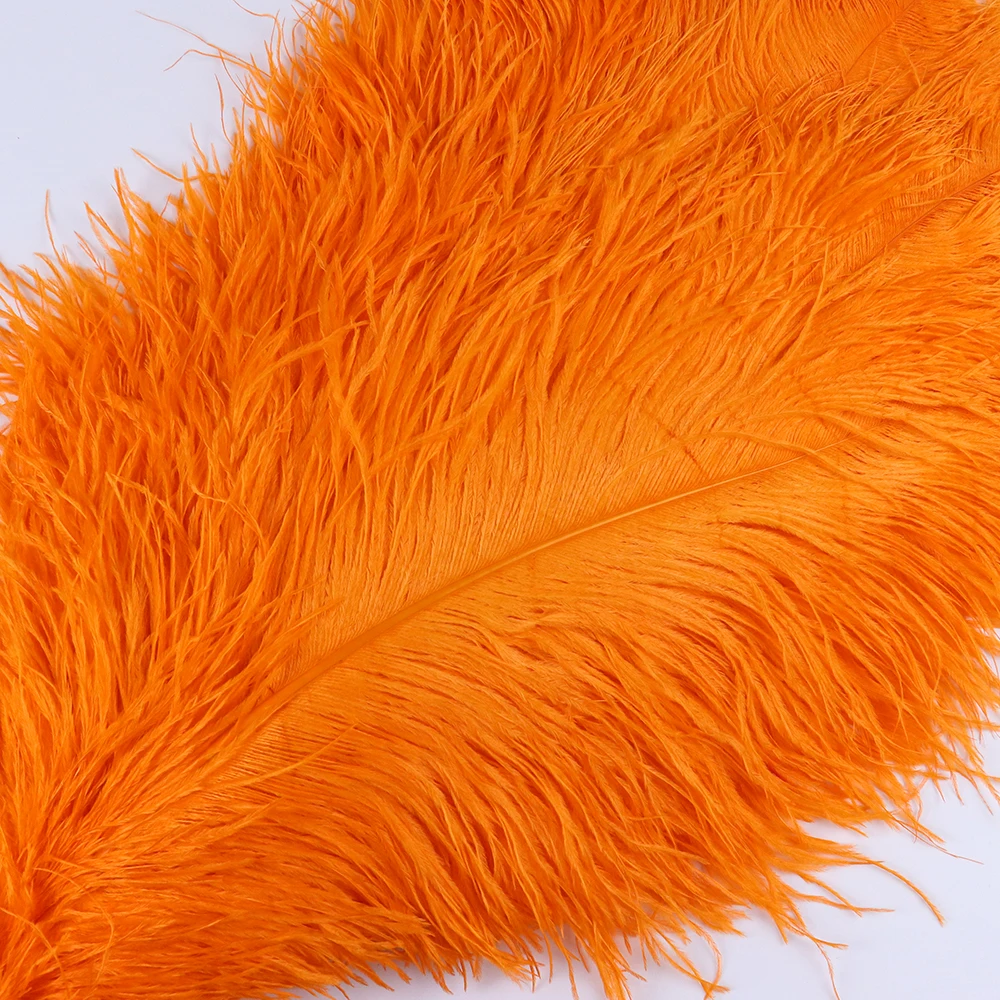 TS0160011 60-65cm ostrich feathers 3