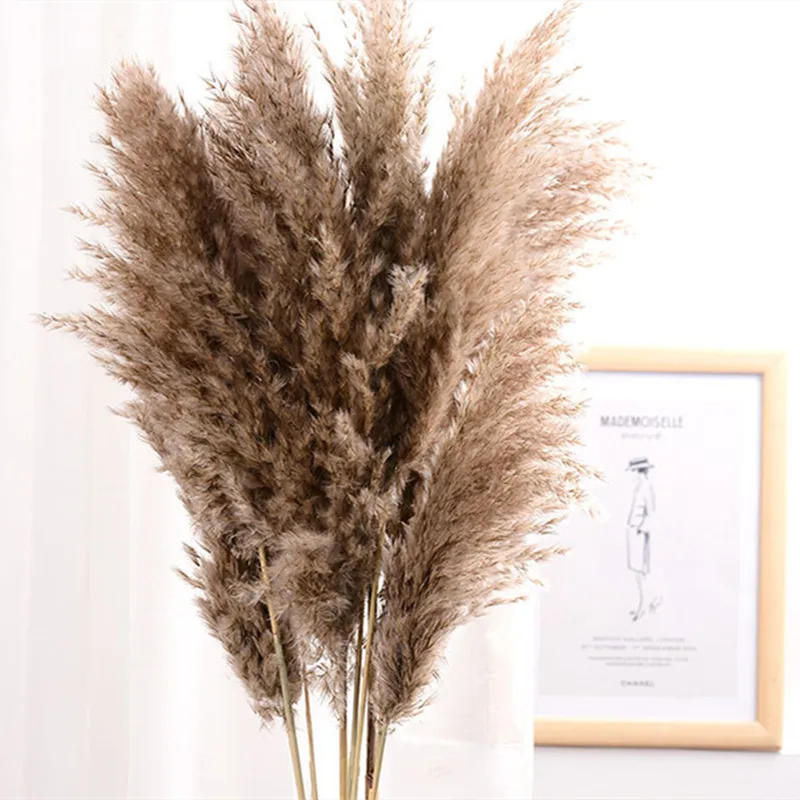 6 pcs 49 Natural Pampas Grass Sprays Dried Plant Stems