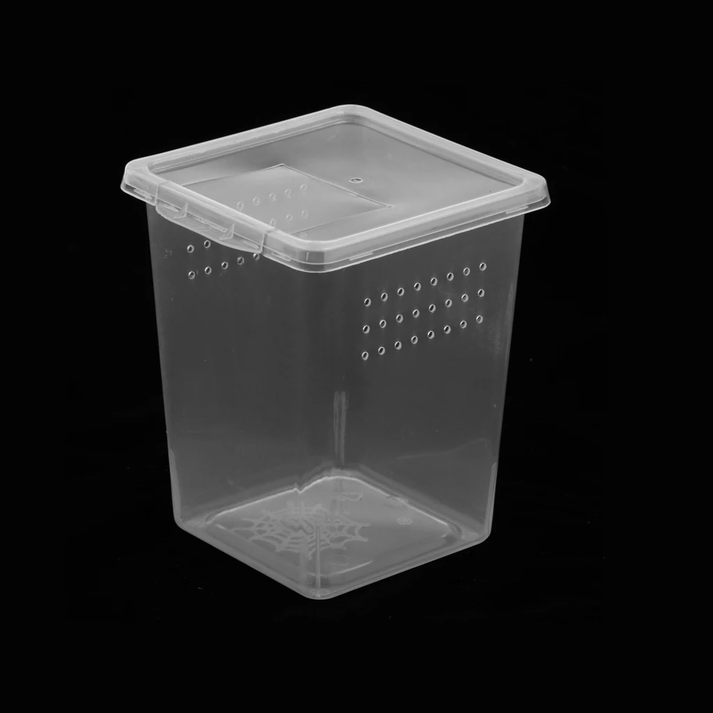 Plastic Insect  Turtle Spider Habitat Feeding Box Container 8x8x11cm