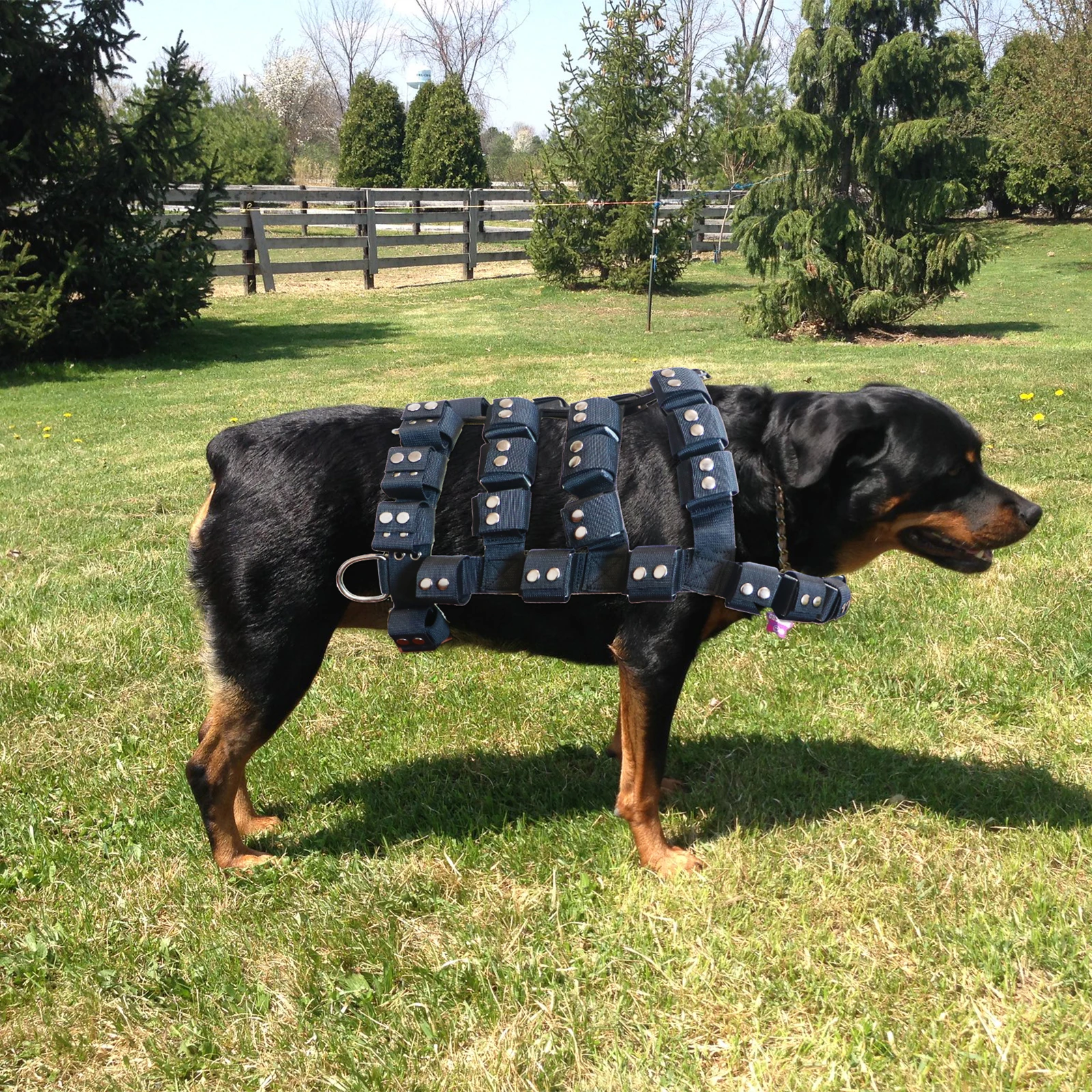 Kopek Demeti Yok Cekme Kopek Demeti En Iyi Kopek Kosum Torbalar Ile Kolay Kopek Demeti Cepler Agirlikli Kopek Yelek Agirlik Cekme Kablo Demeti Harnesses Aliexpress