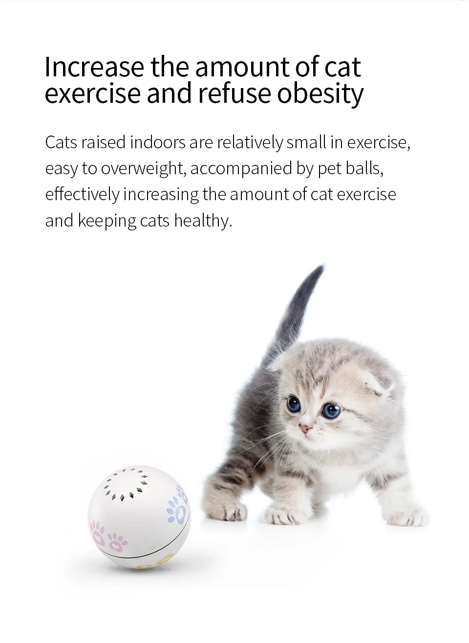 Intelligent companion cat ball8