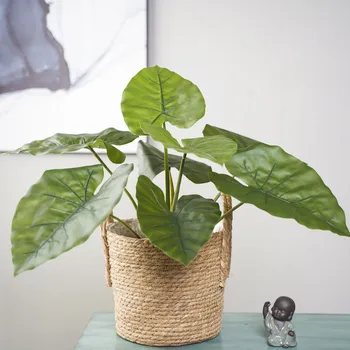 

Model Monstera Green Decoration Dripping Guanyin Simulated Plants Soft Loading Fake Tree Landscaping Material