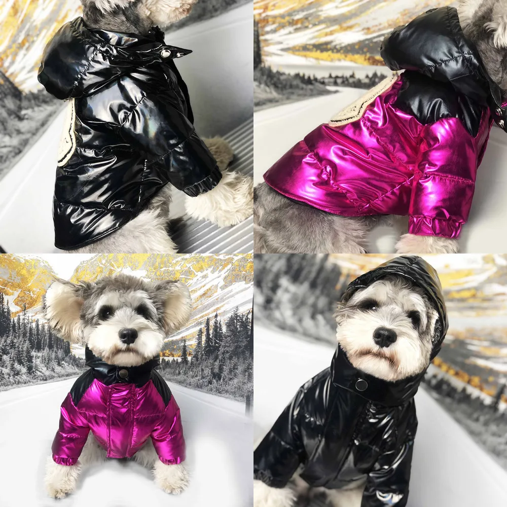 

Winter Fashion Dog Clothes Warm Dog Down Jacket Color Matching Pug Chihuahua French Bulldog Hooded Waterproof Clothes Puppy Coat