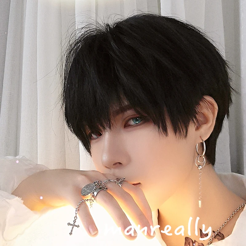 Ailiade Black Men's Wigs 12