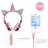 Earphones & Headphones