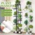 8 Tiers Iron Flower Rack 43x22x141cm Plant Stand Multi Flower Stand Shelves for Bonsai Display Shelf Yard Garden Patio Balcony