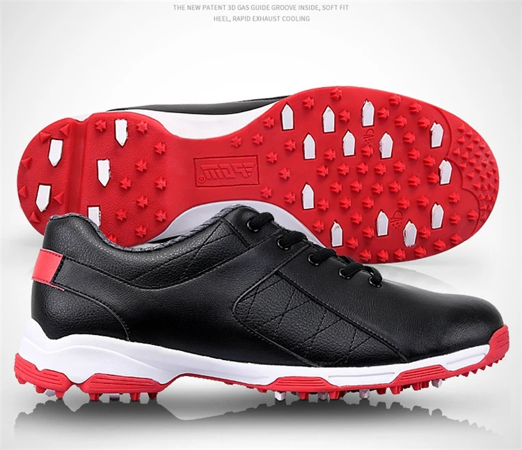 3834503800_1116867744