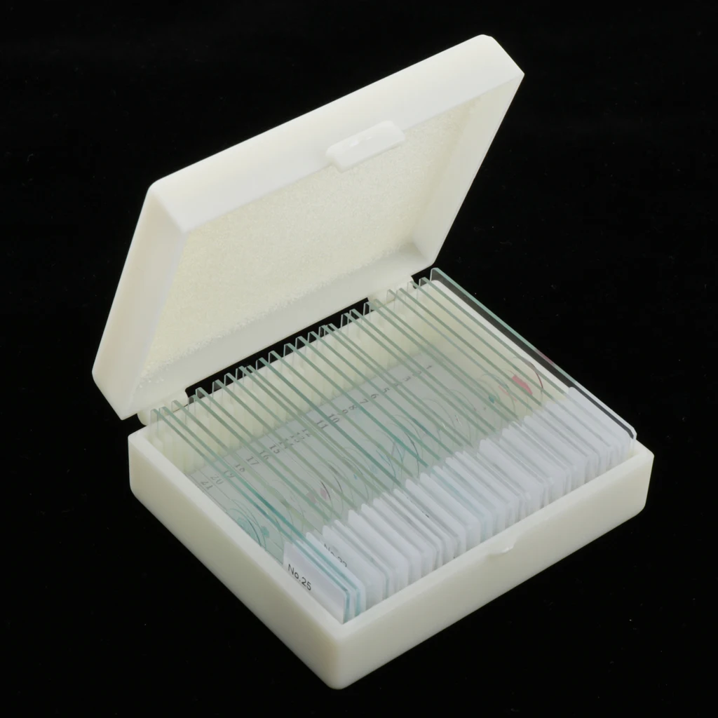 25 Pack Prepared Microscope Slide Set for Basic Biological Science Education, 25pcs Slides, Includes Storage Case
