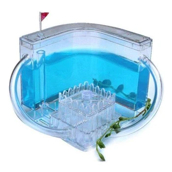 

Natural Ant Farm with Edible Gel Ecology Box Science Educational Toy Ants Pet Reptile Ant Nest Class Room Item