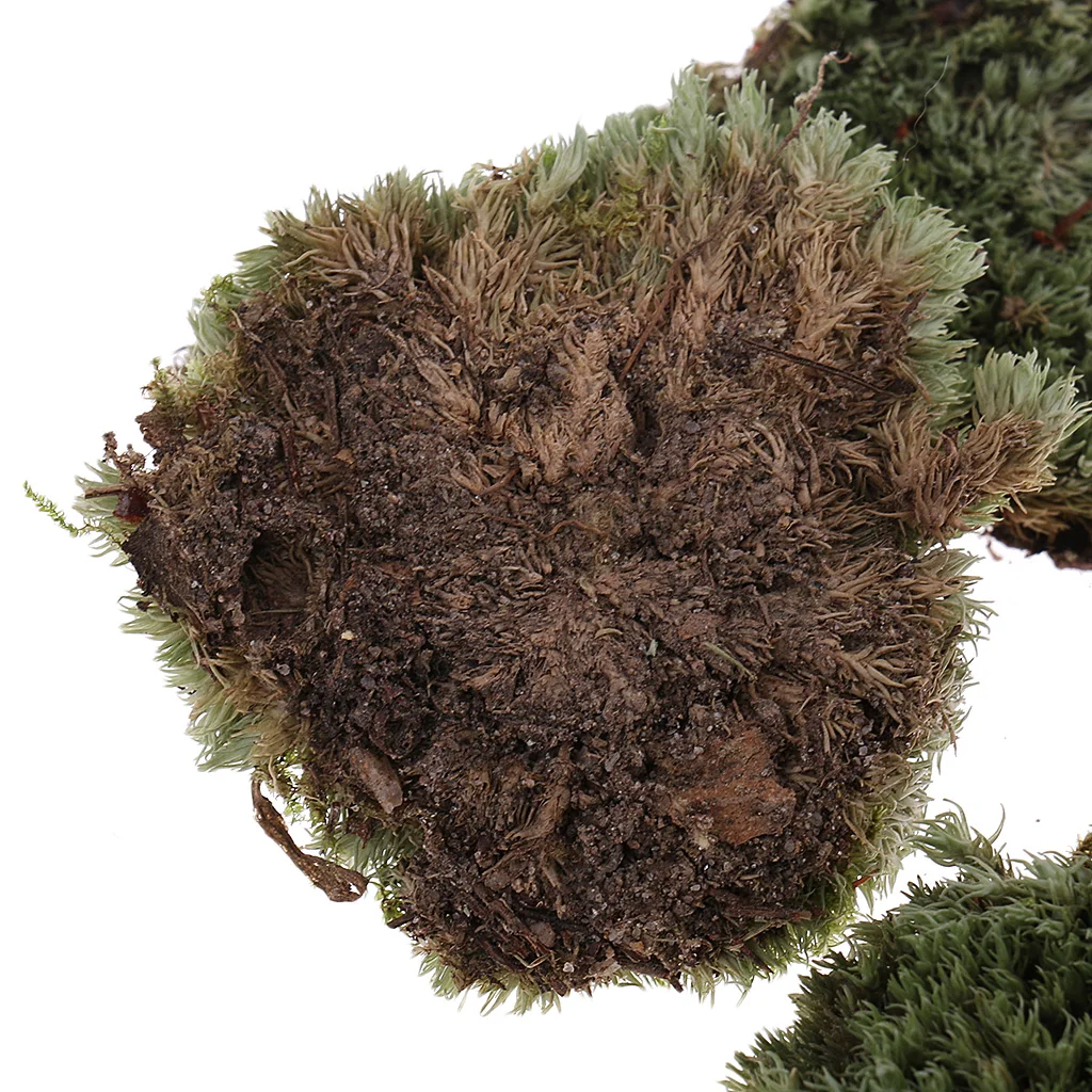 Greenery Scenery Moss Lichen Model for 1/35 Miliatry Sand Armor Building Toy