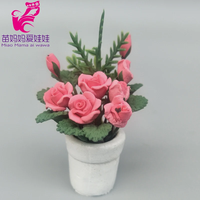 IMG20200228154438 拷贝