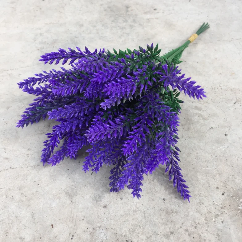 小5叉薰衣草 (4)