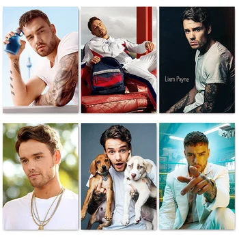 

Liam Payne Portrait Paintings Poster Modern Home Room Decor Wall Art Prints and Posters 42x30cm