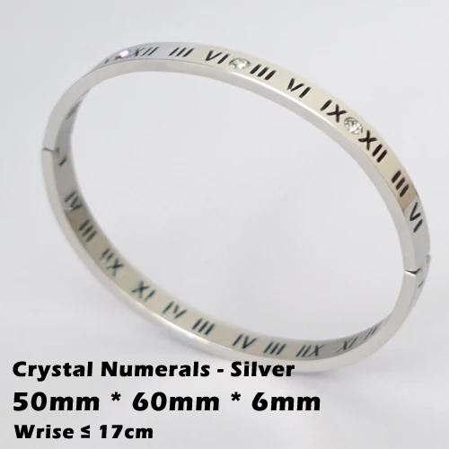 Трендовые Кристальные браслеты для женщин, серебряный, золотой, розовый браслет, титановые браслеты для любви, браслеты из нержавеющей стали, ювелирные изделия - Окраска металла: CN-Silver-6mm