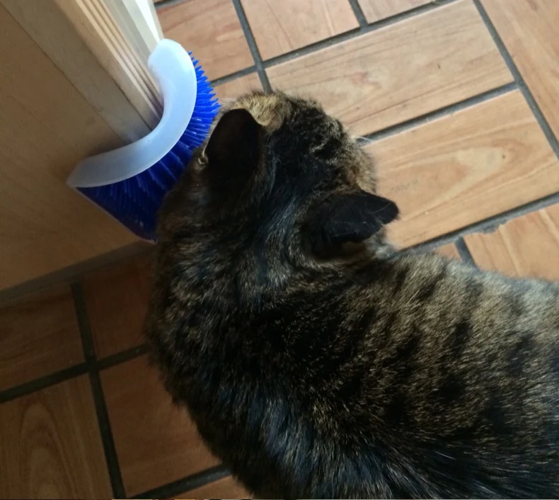 Pet Cat Self Groomer for Cat Grooming Tool Hair Removal Comb Dogs Cat Brush Hair Shedding Trimming Massage Device with Catnip Pet Cat Self Groomer for Cat Grooming Tool Hair Removal Comb Dogs Cat Brush Hair Shedding Trimming Massage Device with Catnip