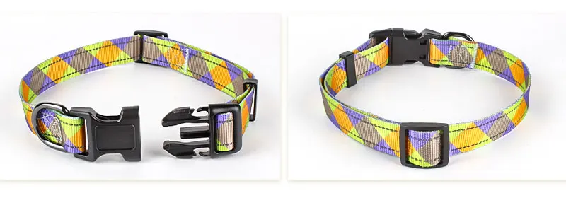 Nylon Dog Collar And Leash Suitable For Small And Medium-sized Pitbull Two-piece Personality Gradient Color Pet Collar And Leash