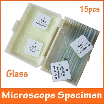 

15pcs Lab Professional Glass Bio-microscope Prepared Basic Science Biological Microscope Slides Children Microscopy Specimen