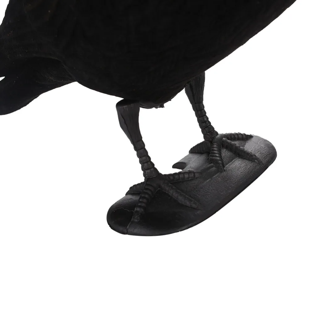 407093_3dc6c9ae2109437886dfd7bcf8c1860b