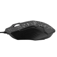 Computer Peripherals