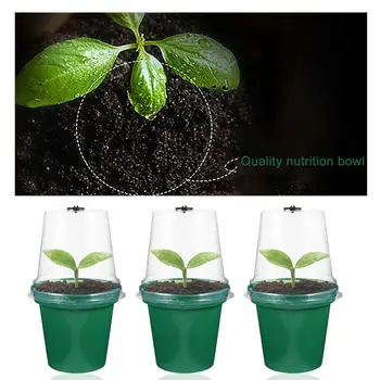 

10pcs Flowerpot Round Plastic Transparent Creative Safe Flowerpot