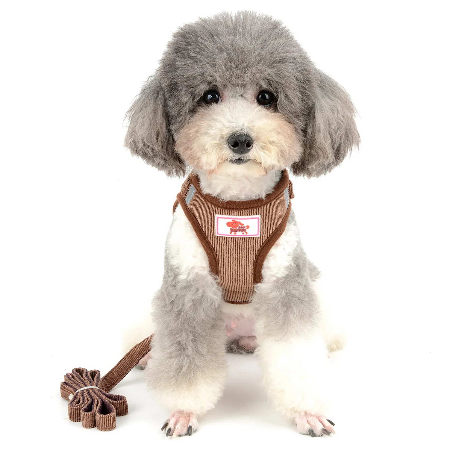 Reflective No Pull Small Dog Cat Harness and Leash for Walking Corduroy Escape Proof Soft Mesh Padded Puppy Step-in Harness