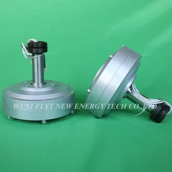 

50W 60w 80w 100w Low RPM Meglev Generator Coreless Generator Vertical Axies Generator For DIY Turbine