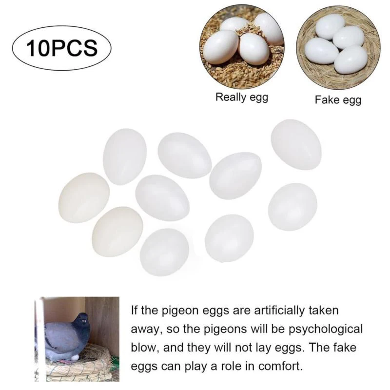 10Pcs/Lot White Solid Plastic Eggs Dummy Fake Eggs For Racing Homing Pigeons New