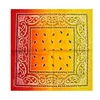 WZCX Tie-Dye Gradient Printing 55*55cm Square Headscarf Hip Hop New Fashion Unisex Cashew Flowers Headscarf Cotton Scarf 2