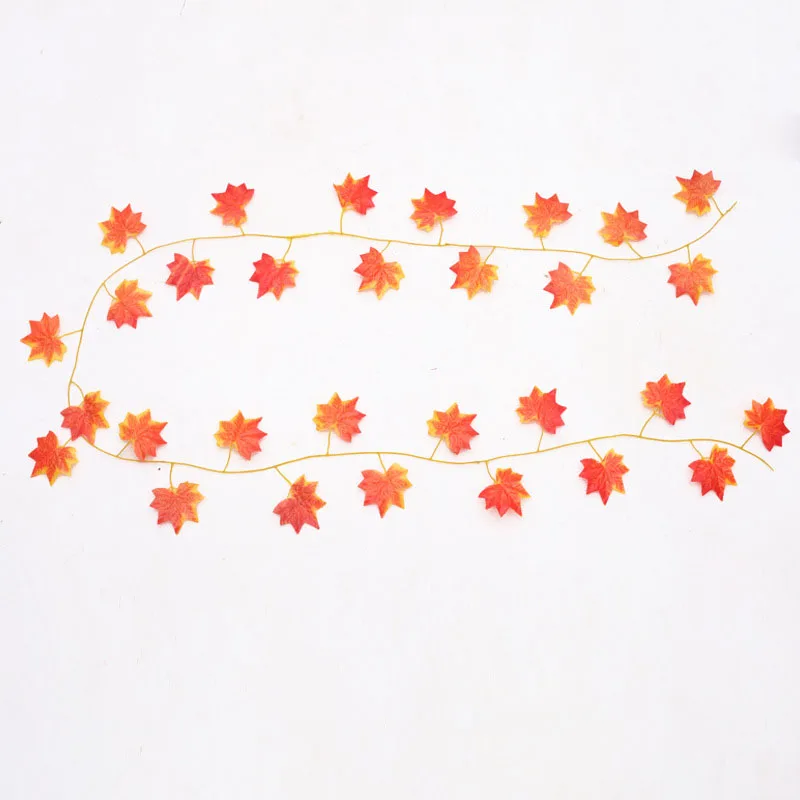 9335645635_1023033891