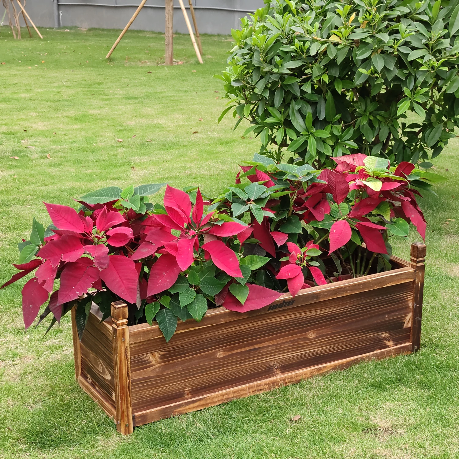 Raised Garden Bed Flower Box for Planting 2
