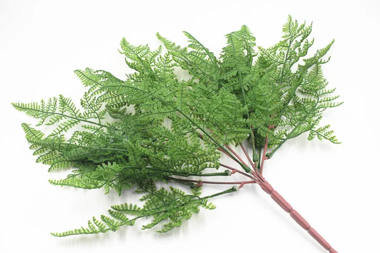 19叶软胶波斯叶