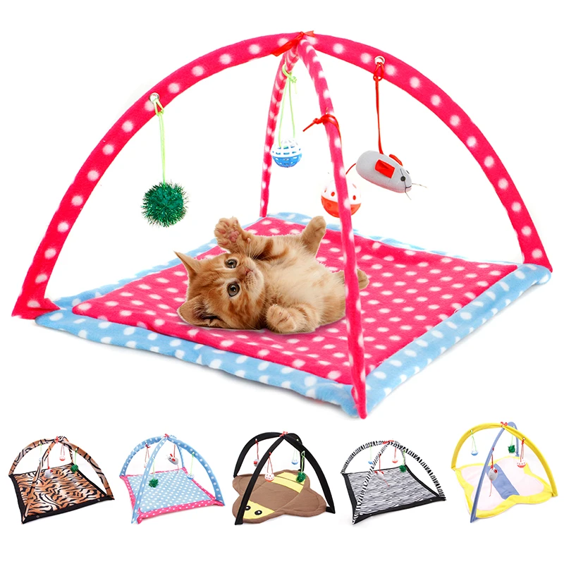 portable cat tent