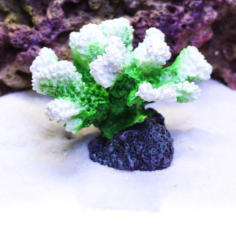 Hd1d11f2bb75f460db517d989095e9207L