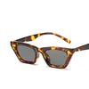 2022 Fashion Sunglasses for Women Retro Small Frame Cat's Eye Sun Glasses  New Eyeglasses Sunglasses ► Photo 2/6