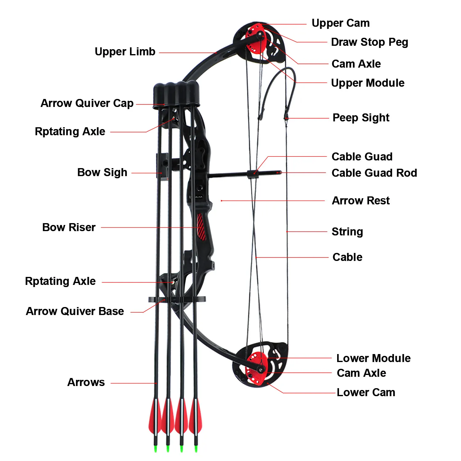 Composto para Adolescentes e Crianças Equipamento de Caça Tiro com Arco Fora com Velocidade Arco Twin Ajustável 19 -28 65% Deixar Máxima 260fps Cam 15-29lbs 3 Cheap Arco e flecha