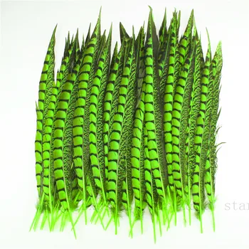 

Natural20-60CM(8-24 inches) Pheasant feather feather dyed fruit green30-100PCS DIY decoration craft opera head feather accessory