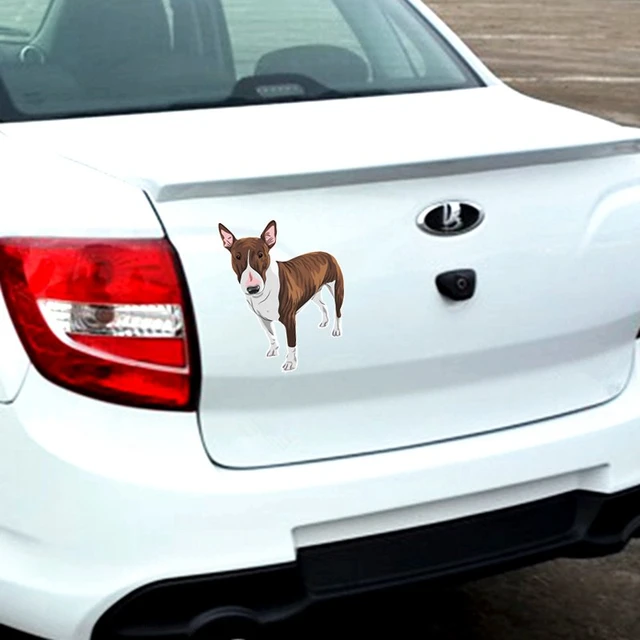 Tri Mishki Wcs358# 16*12.3cm Cartoon English Bull Terrier Pit Bull Car  Sticker Colorful Decals Motorcycle Accessories Stickers - Car Stickers -  AliExpress