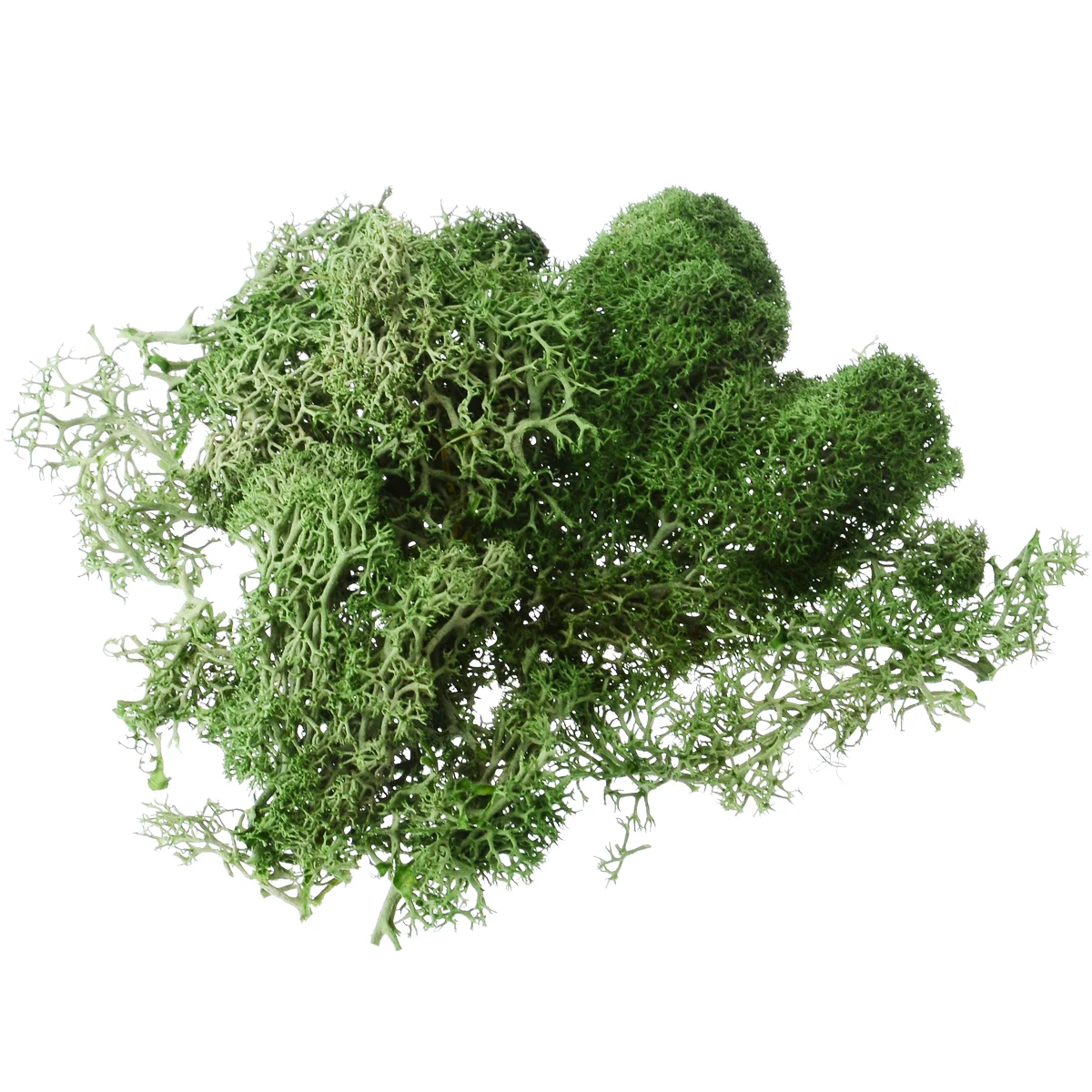 Light Green 1 шт 10 г сделай сам Искусственный мох поддельный мох декоративный Зеленый завод для дома и сада Свадебные украшения микро Ландшафтные аксессуары - Цвет: Light Green