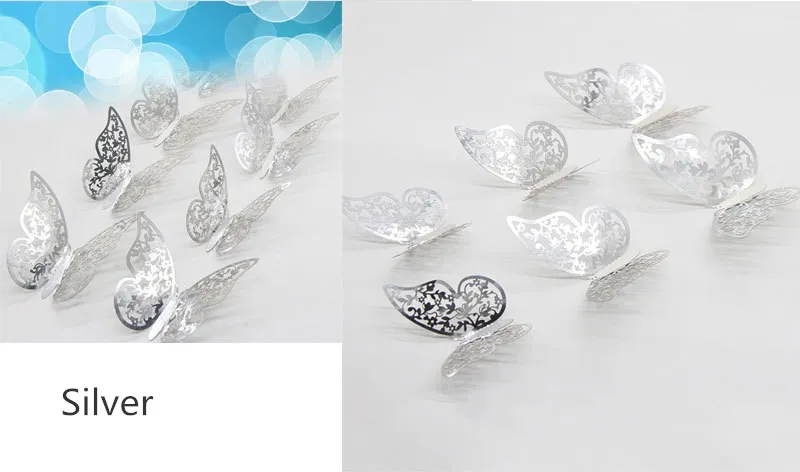 7728696643_1023222498