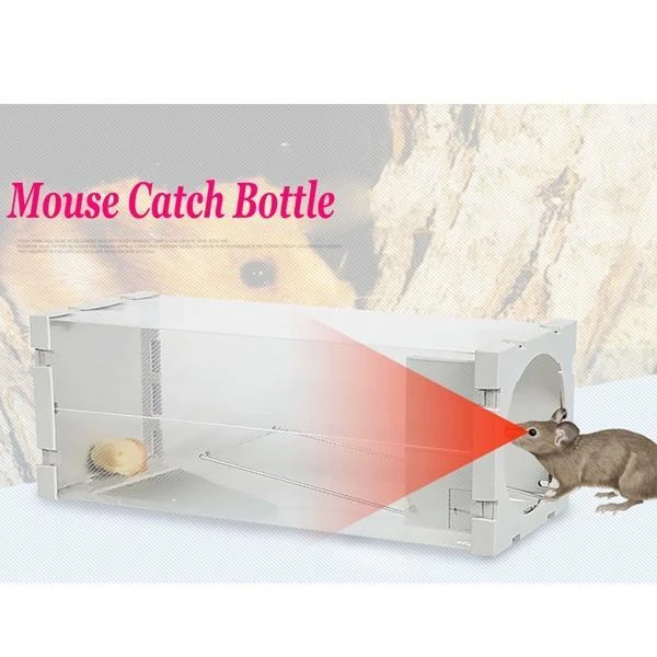 Mouse Trap Rat Traps Indoor Small Reusable Powerful Mouse Traps Bait Cup  Powerful Bites Effectively Lures Catches Mice Traps - AliExpress