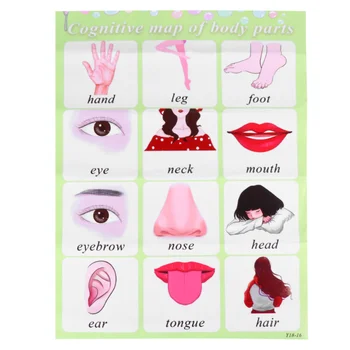 

1 Pc Practical Durable Lightweight Portable English Words Wall Chart Alphabet Wall Chart Educational Toys for Baby Boys Girls