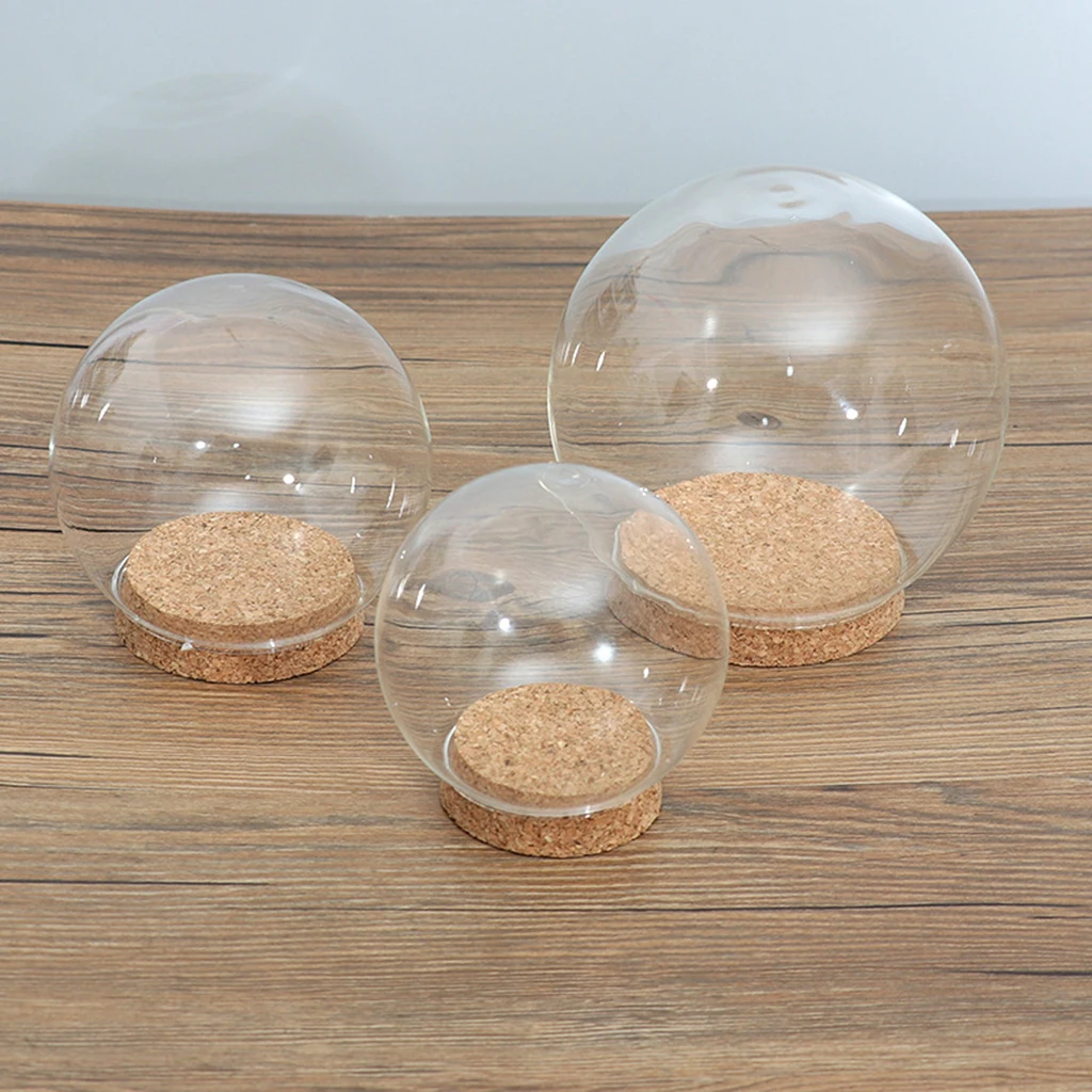 Modern Handcraft Glass Dome Cover Dry Flower Vase with Wood Cork Base Landcrape Figurines Model Display Artwork